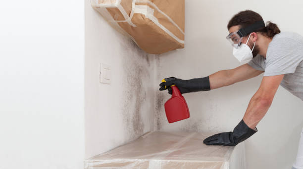 Professional Mold Remediation technician working in Woodsboro, TX